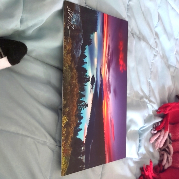 Multicolor - Picture 1 of 3